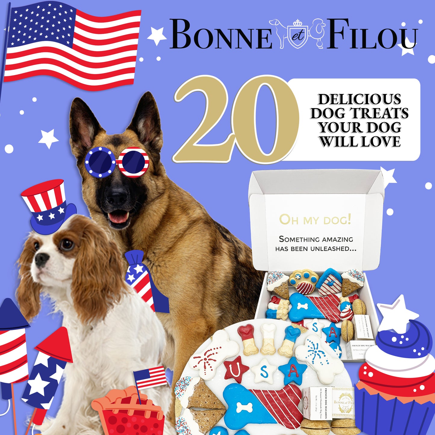 USA Themed Dog Treats Gift Box